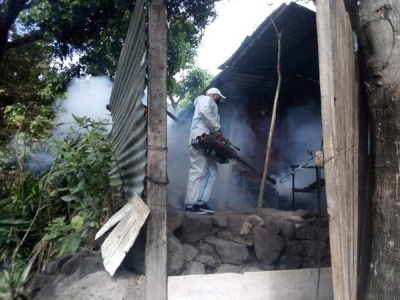 Salud continúa trabajando para reducir los casos de arbovirosis