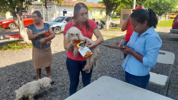 Región de Salud de Choluteca inicia vacunación a perros y gatos contra la rabia