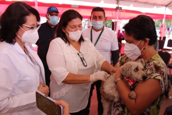 Salud inicia vacunación de perros y gatos a nivel nacional