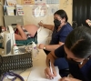 Región de Choluteca finaliza ferias de Salud en la Comunidad de Coraicito